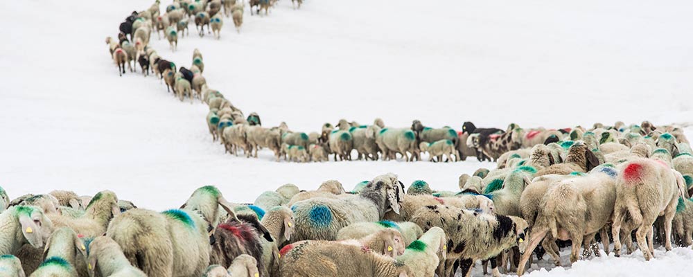 Gletscher-Skifahren im Sonnenschein