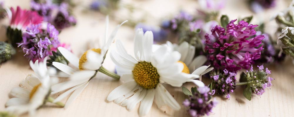 Gletscher-Skifahren im Sonnenschein