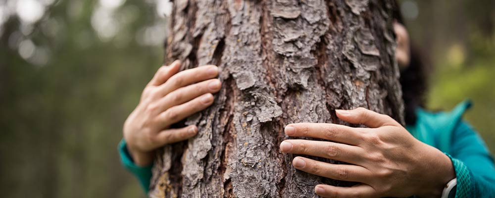 Gletscher-Skifahren im Sonnenschein
