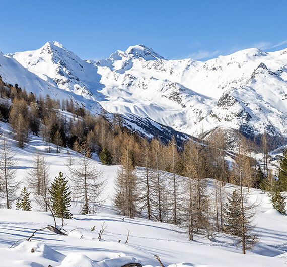 Winter im Schnalstal