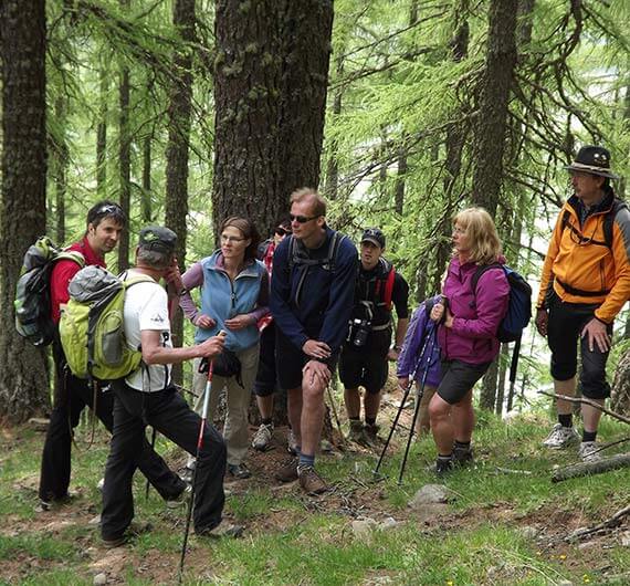 Wanderhotel Tanzhaus