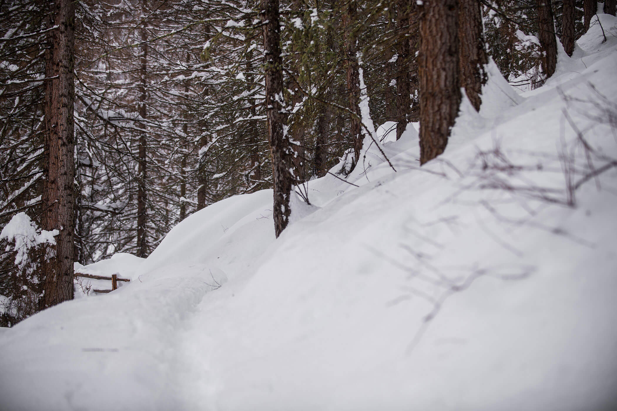 Patrizias Lieblingswinterwanderung: Im Winterwald von Kurzras nach Gerstgras