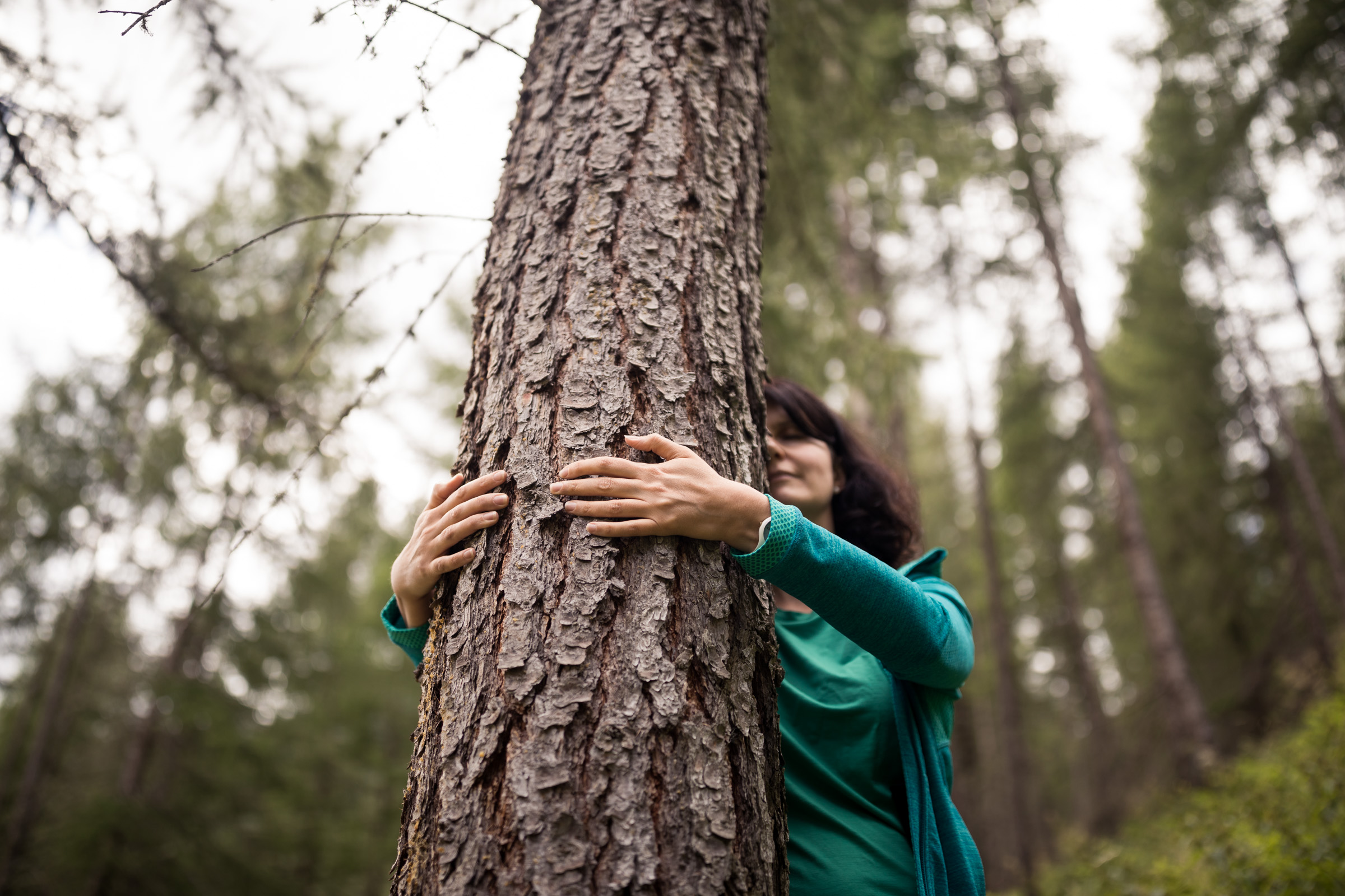 Waldbaden in der Natur