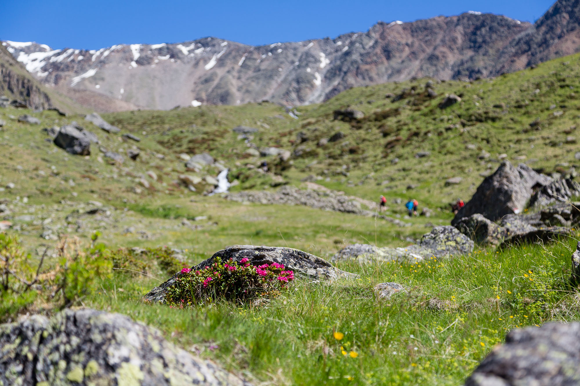 Wanderausflug in der Gruppe